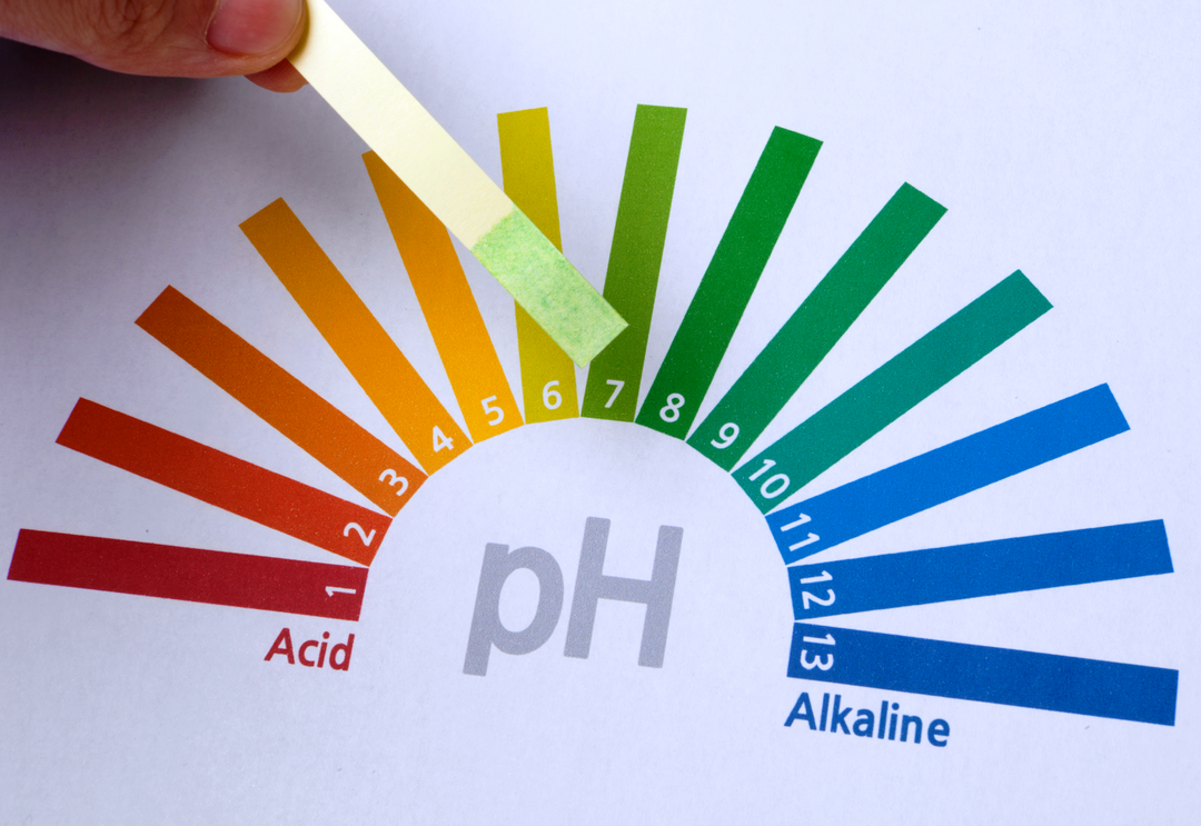 The Importance of pH in Hydroponics: How to Properly Adjust the Water pH for Optimal Plant Growth