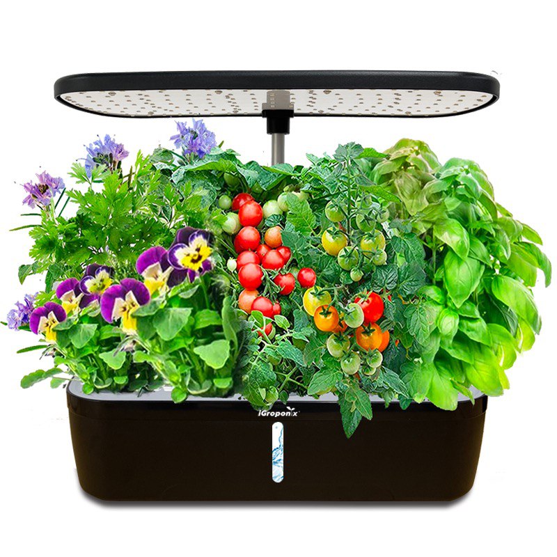 12 Pod Herb Garden