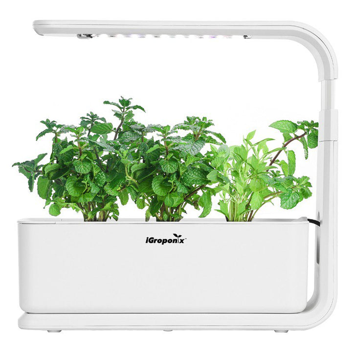 3 Pod Herb Garden