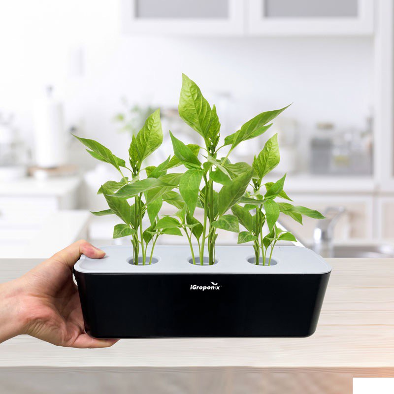 3 Pod Herb Garden